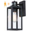 Schlesinger Matte Black 32.1cm H Outdoor Wall Lantern
