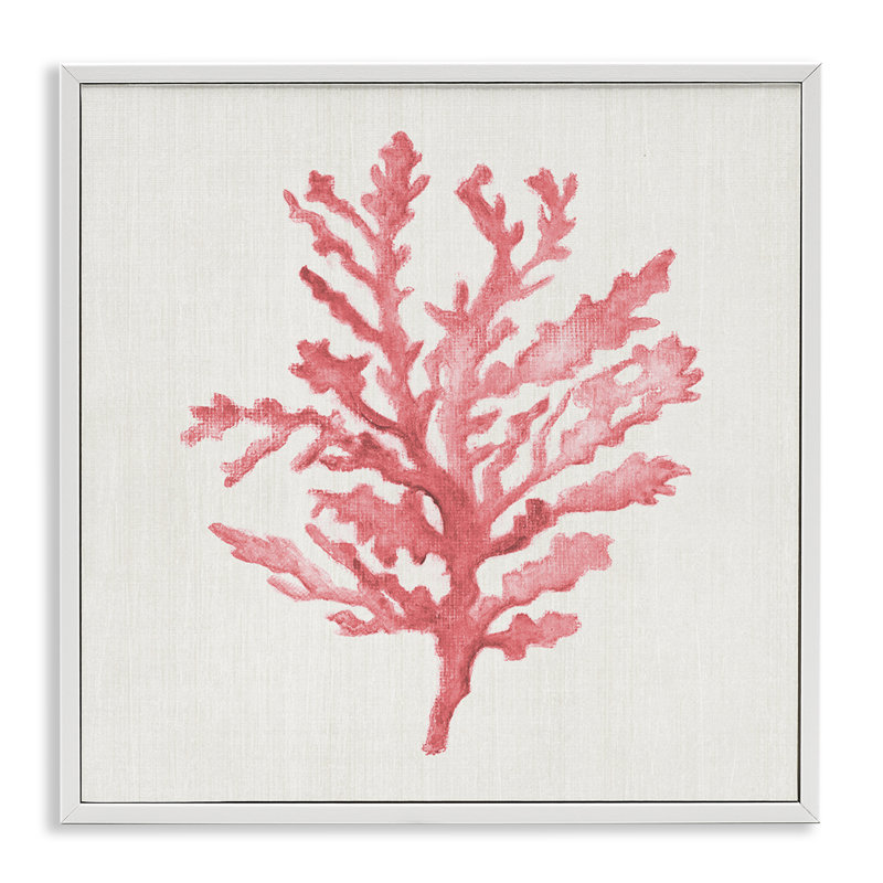 Estampe numérique Rosy Pink Coral Branch, design par Janet Tava, H 12 po x l 12 po, Coastal White Giclee Framed