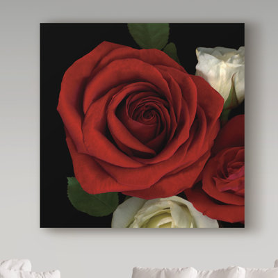 Dosta 'Red Rose' by Graphic Art Print on Wrapped Canvas