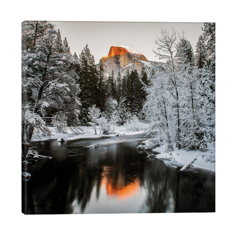 The Last Sunshine by David H. Yang - Wrapped Canvas Print, 45.72 cm H x 45.72 cm W x 1.91 cm D