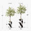 Arbre artificiel avec motif de blocs de couleur noir et blanc Signleader, faux eucalyptus pour le salon, la chambre à coucher, le bureau - 5,5 pieds (66 po)-1576921220