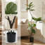 Fausse plante-1782331789