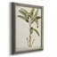 Banana Palm I - reproduction d'art sur toile-1012526404