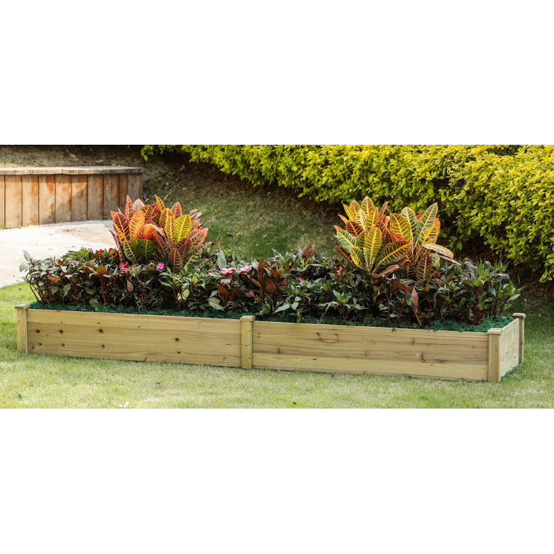 Jerold Wood Raised Garden Bed