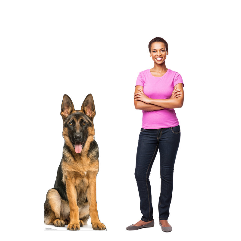 German Shepherd