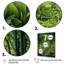 Herbes Chive Symphony 1 - Floral Herbs, art mural-403709531-403709522