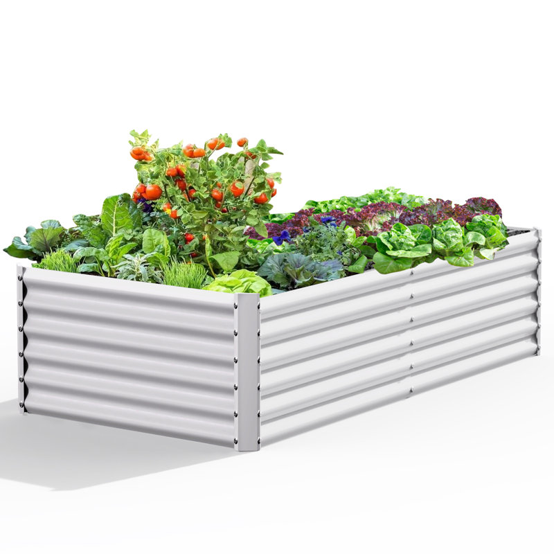 Valerton 8X4X1.5 ft Galvanized Keyhole Composting Raised Garden Bed, White