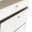Beckum 12 Pair Shoe Storage Cabinet