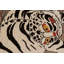 Rug & Kilim’S Contemporary Tiger Pictorial Rug In White And Black Tones