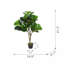 Arbre à feuilles de figuier Fiddle - 16,5 po x 21 po x H 41,5 po - vert