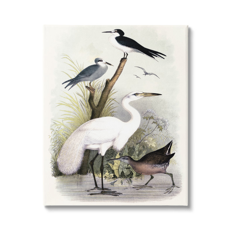 Oiseaux de grue variés rassemblés au bord de la rivière par Piddi - Peinture, H 48 po x l 36 po x P 1,5 po, Toile tendue
