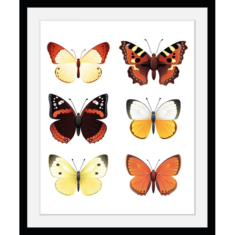 Butterflies - Single Picture Frame Print