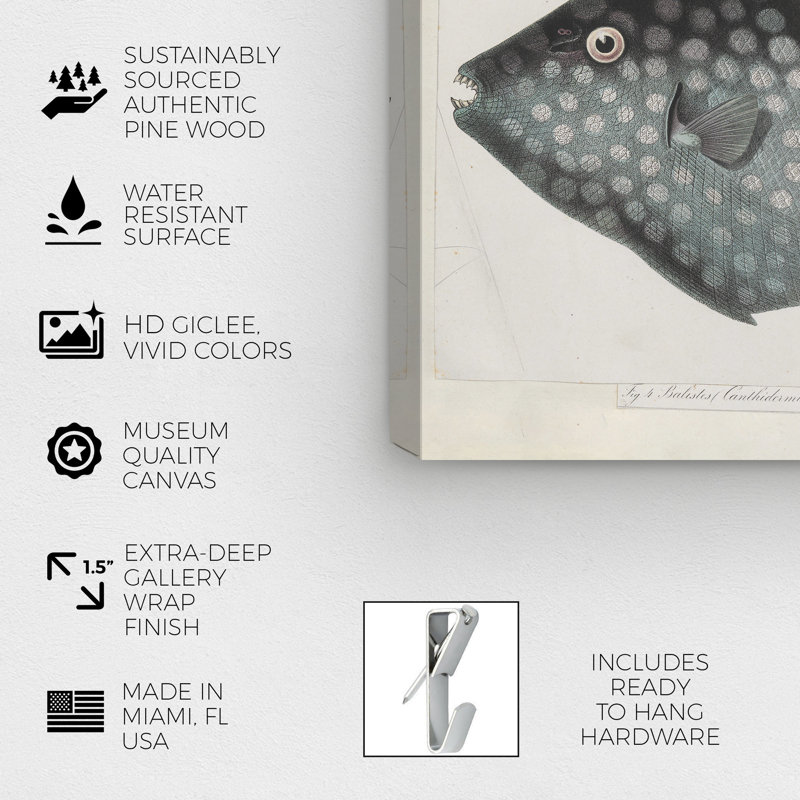 " Triggerfish " Painting Print, Wrapped Canvas, 16" H x 24" W