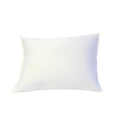 Oreiller en duvet et plumes Davis