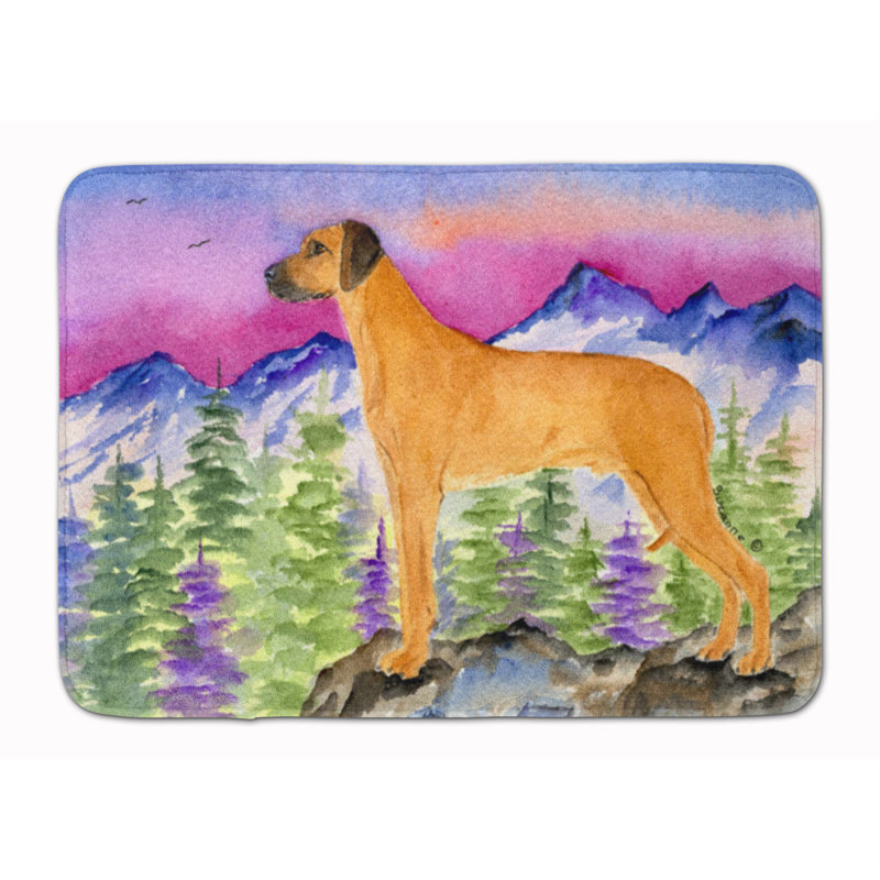 Memory Foam Non-Slip Bath Rug