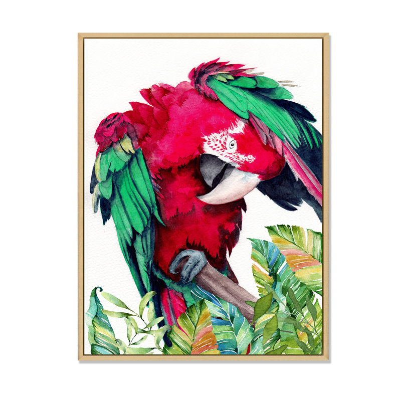 Perroquet rouge et vert - reproduction sur toile, H 32 po x l 24 po, Cadre flottant érable