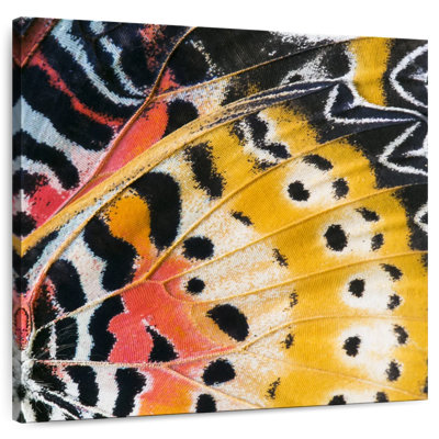Brampt Monarch Butterfly Wing