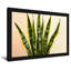 Plantes et fleurs, motif de feuilles de plantes-649474942-649474816-649474824