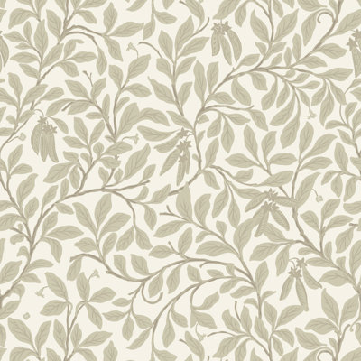 Leaf and Pod - Wallpaper