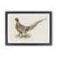 Ring - Necked Pheasant by Von Wright - Framed Print-48234788-48234789