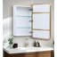 Dorriel 550mm x 810mm Mirror Cabinet-512217483