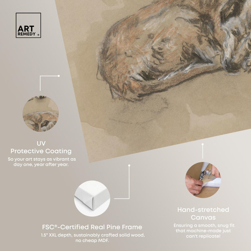 Vintage Dog Drawings on Wrapped Canvas, 12" x 12"