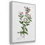 " Rose Botanical I " 3 - Pieces-91891245-91891242