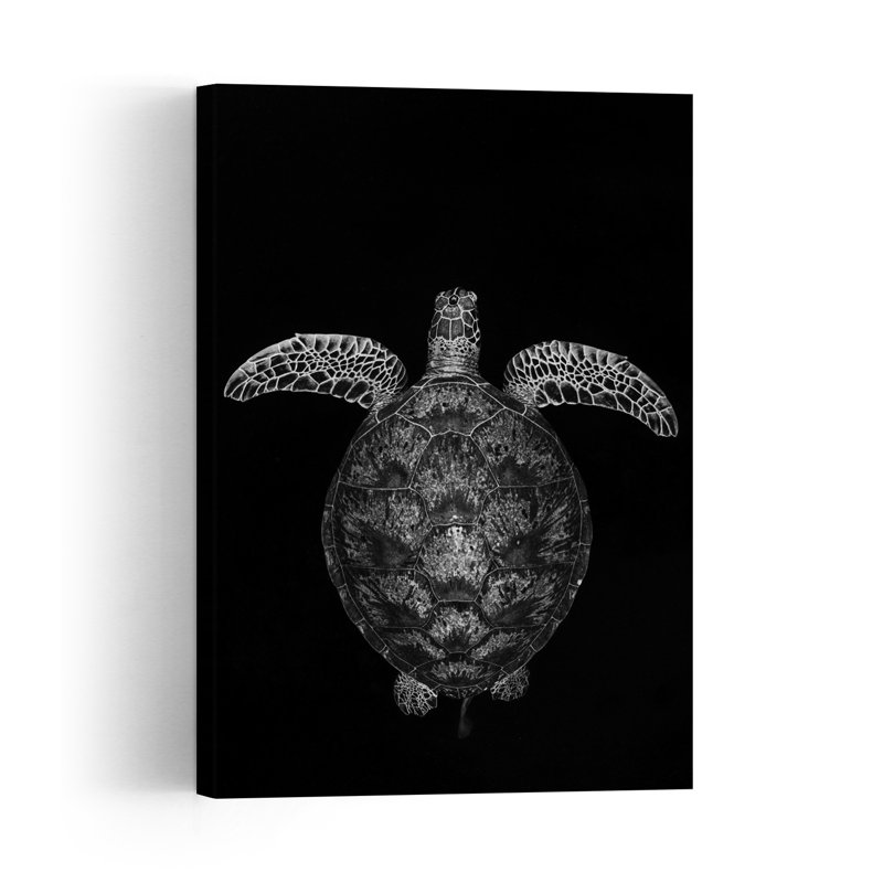 Graceful Sea Turtle Minimalist Peaceful Serene Turtle Nature Ocean Wall Art Print 1 Piece Wrapped Canvas Wall Art
