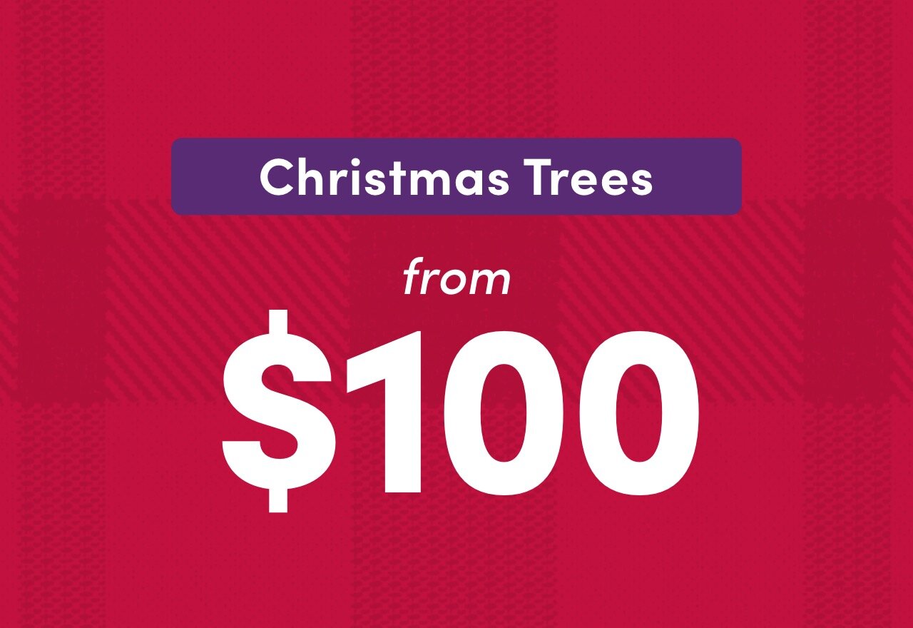 Christmas Tree Clearance 2024 Wayfair   Christmas Tree Clearance 