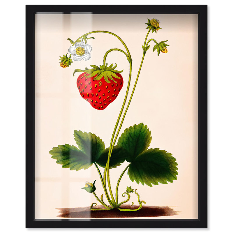 «Strawberry Kitchen Art Shadowbox» par Art Remedy, H 21 po x l 17 po, Noir