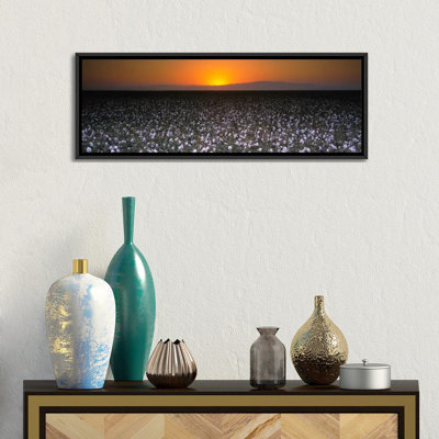 Cotton Field At Dusk, San Joaquin Valley, California, USA by Panoramic Images - Wrapped Canvas Panoramic Gallery-Wrapped Canvas Giclée