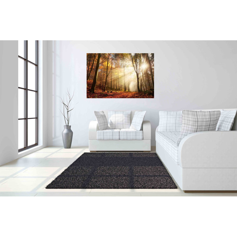 Art mural en verre trempé sans cadre Sunlight in Woods - 40 po x 60 po