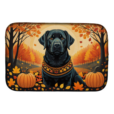 Tapis de séchage
