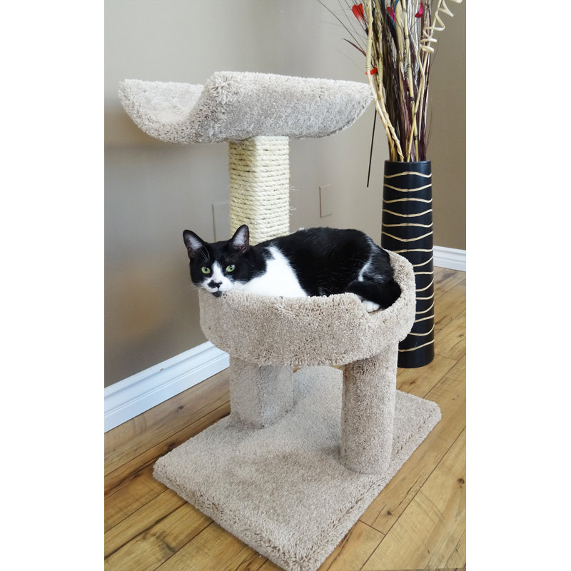 Perchoir pour chat 31 ", Beige