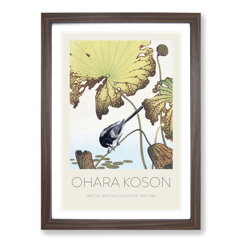 Wagtail Bird on a Lotus Plant by Ohara Koson - Picture Frame Art Prints, 65cm H x 48cm W x 2cm D, Walnut Framed