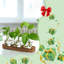 Station de propagation de plantes avec support en bois, trousses de démarrage pour terrarium
