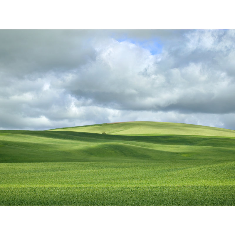 «Spring in The Palouse» par Bruce Heinemann, H 25 po x l 33 po, Toile avec cadre noir