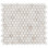 Alaska White 2" Hexagon Polished Marble Mosaic Tile