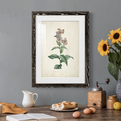 Cadre traditionnel traditionnel Premium Botanical II - prêt à être accroché