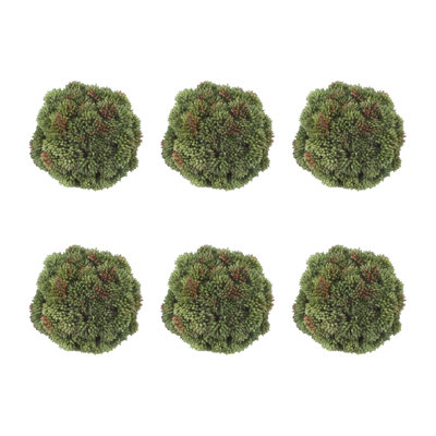 Decorative Sedum Balls