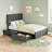 Apolo Upholstered Platform Storage Bed