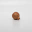 ROUS Hardware Mid Century Modern Sphere Knob-1884987354
