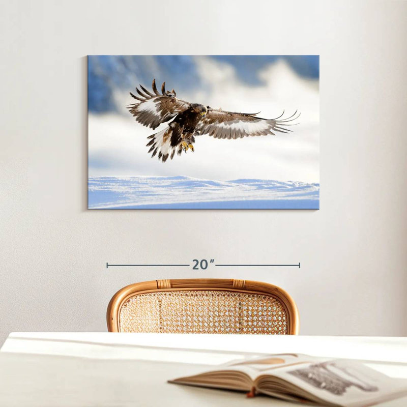 Brampt Norwegian Golden Eagle, 16" H x 24" W