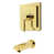 Polished Brass is out of stock