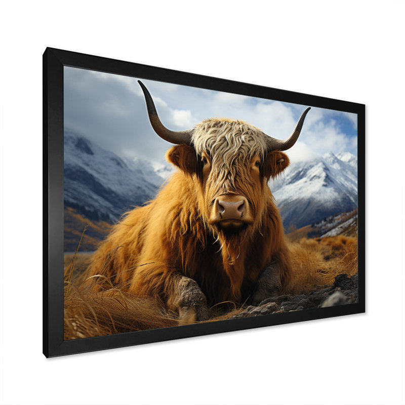 Brown Yaks In Montain I, reproduction d'art sur toile, Noir, H 12 po x l 20 po x P 1 po