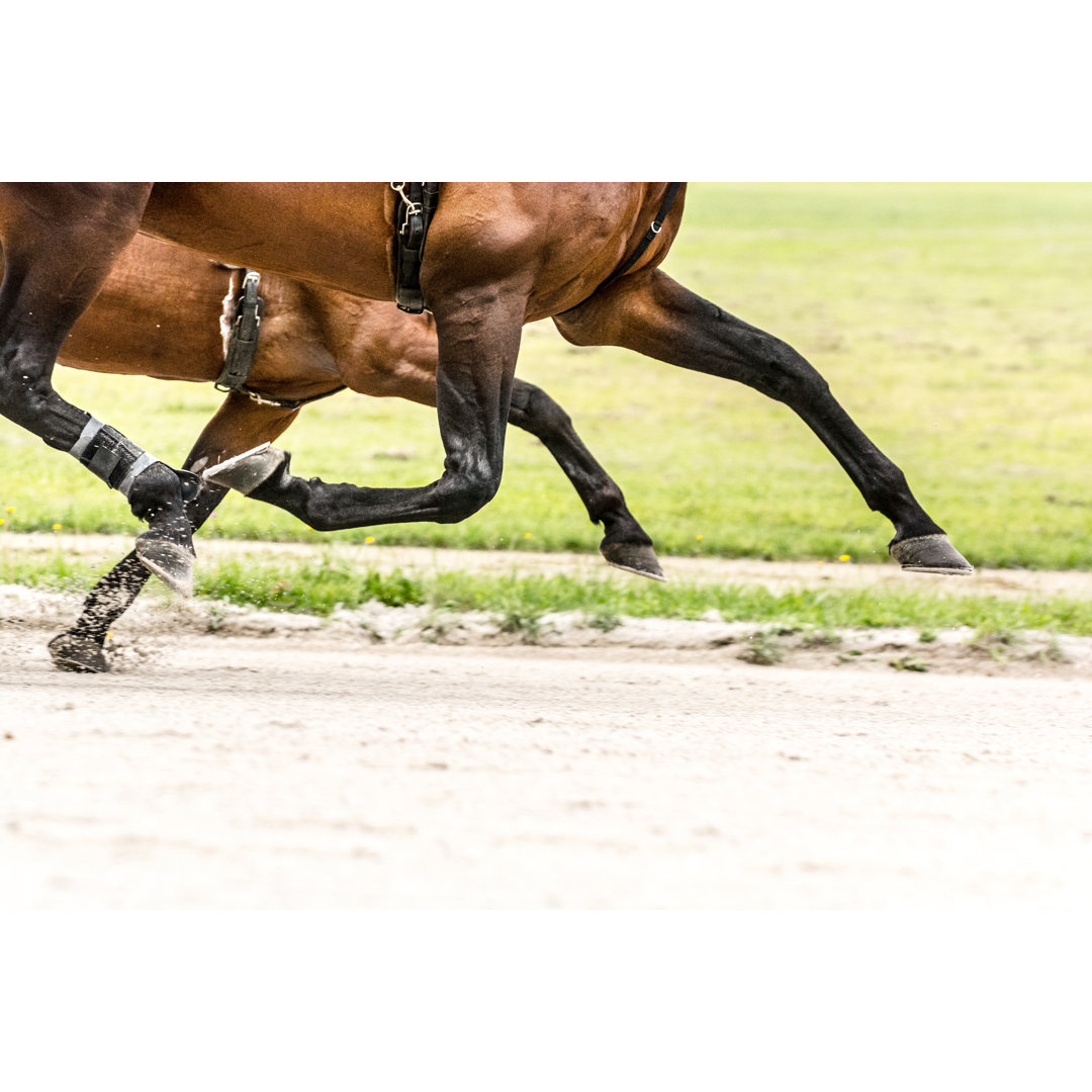 Two Horses On Harness Racing Competition Trotting Aligned by Zoran Kolundzija - No Frame Art Prints on Canvas