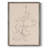 Fruit Contour Study II Framed Print - Solid Wood-1994542874