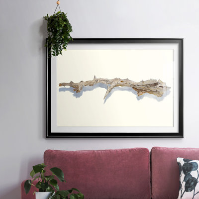 Driftwood Study I-FramedFramed Print W biseauté mat et verre