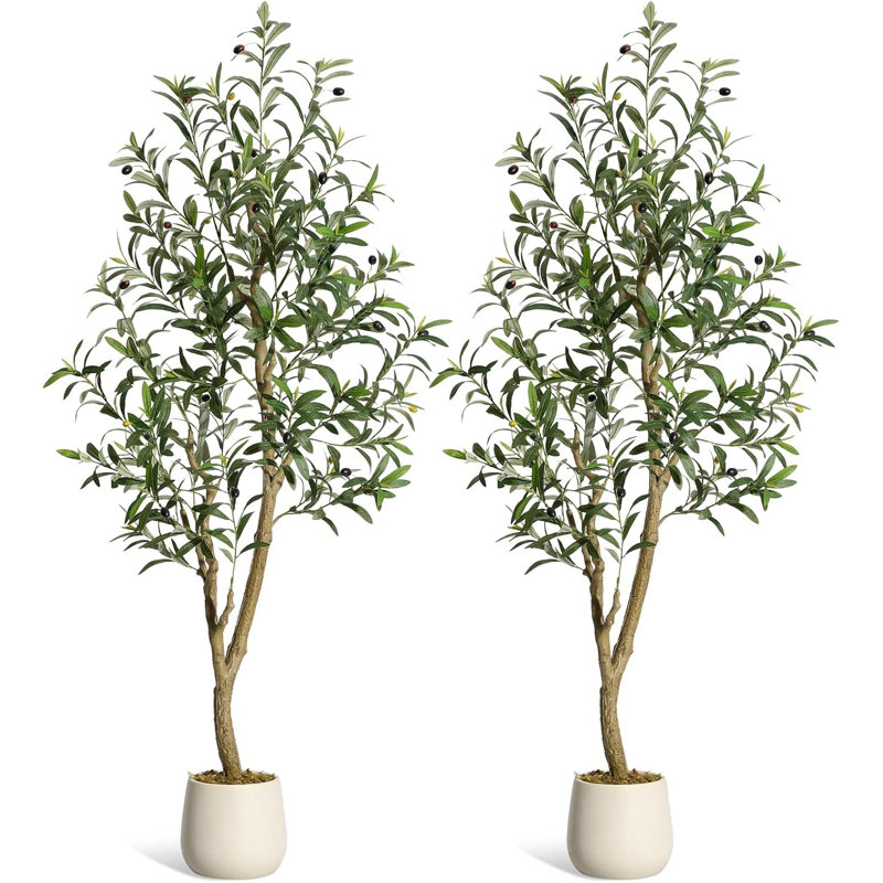 152cm Plant, 2