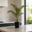Anneloes 70 cm H Faux Palm Tree Plant in Plastic Pot Liner